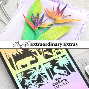 Extraordinary Extras: August Ideas + Video