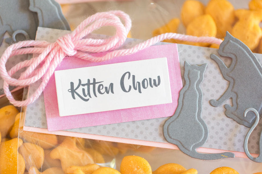 Video: Kitty Purr-fect Party Favor Bags