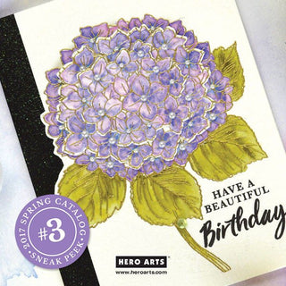 2017 Spring Catalog Sneak Peek #3 + Giveaway - Hero Arts