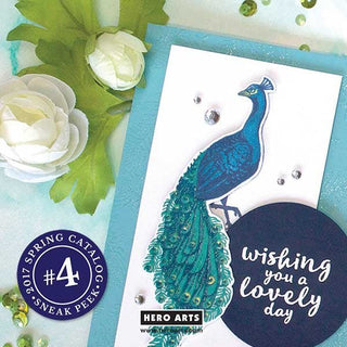 2017 Spring Catalog Sneak Peek #4 + Giveaway - Hero Arts