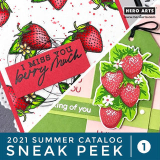 2021 Summer Catalog Sneak Peek #1 + Giveaway - Hero Arts