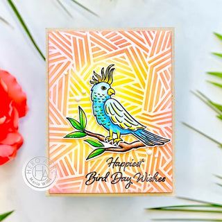 Cockatoo Bird-day Wishes!