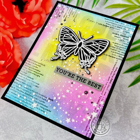 Beautiful Butterfly!