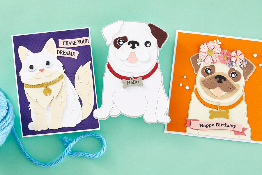 Introducing The Cats and Pugs Collection