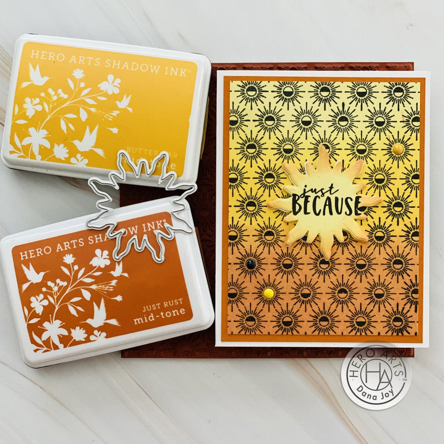Bring on the Sunshine