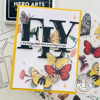 Butterfly Die Cuts Using Transfers and Acetate - Hero Arts