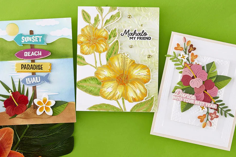 June 2026 Clear Stamp + Die of the Month Preview & Tutorials – This Way To Rainbows
