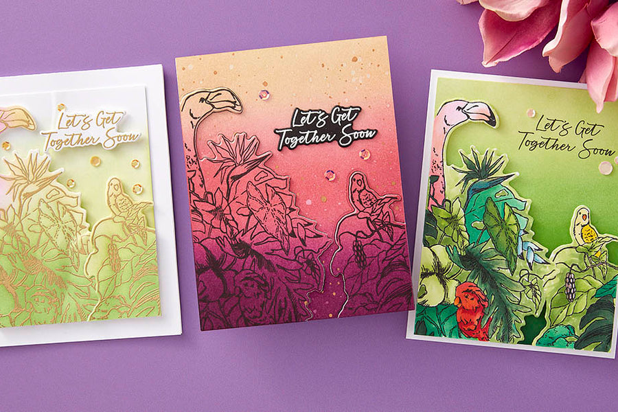 May 2024 Clear Stamp + Die of the Month Preview & Tutorials – Let's Get Together