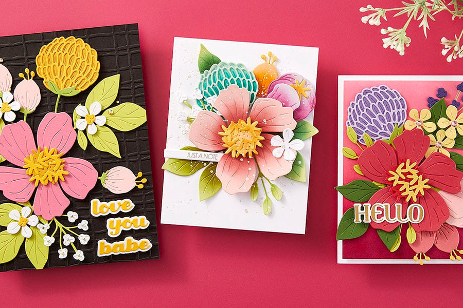 August 2024 Large Die of the Month Preview & Tutorials – Colorful Expressions Blooms