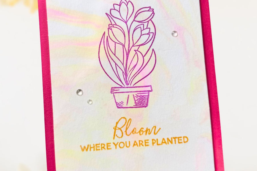 Video: Water Marbling Using Liquid Watercolors
