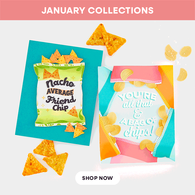 Introducing 3 New Collections for January!