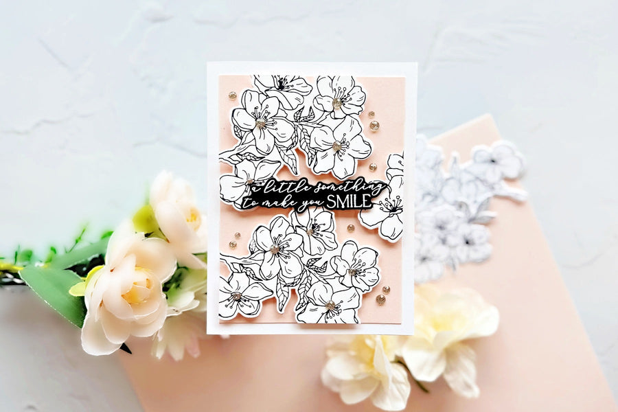 Limited Supplies/Unlimited Fun with Cherry Blossoms BetterPress Plates