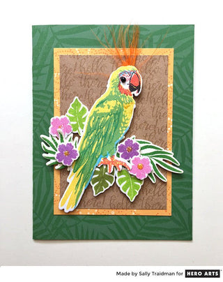 Parroting - Hero Arts