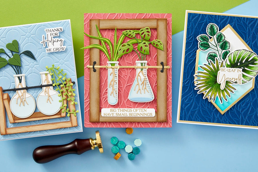 Propagation Garden Collection Introduction with Annie Williams