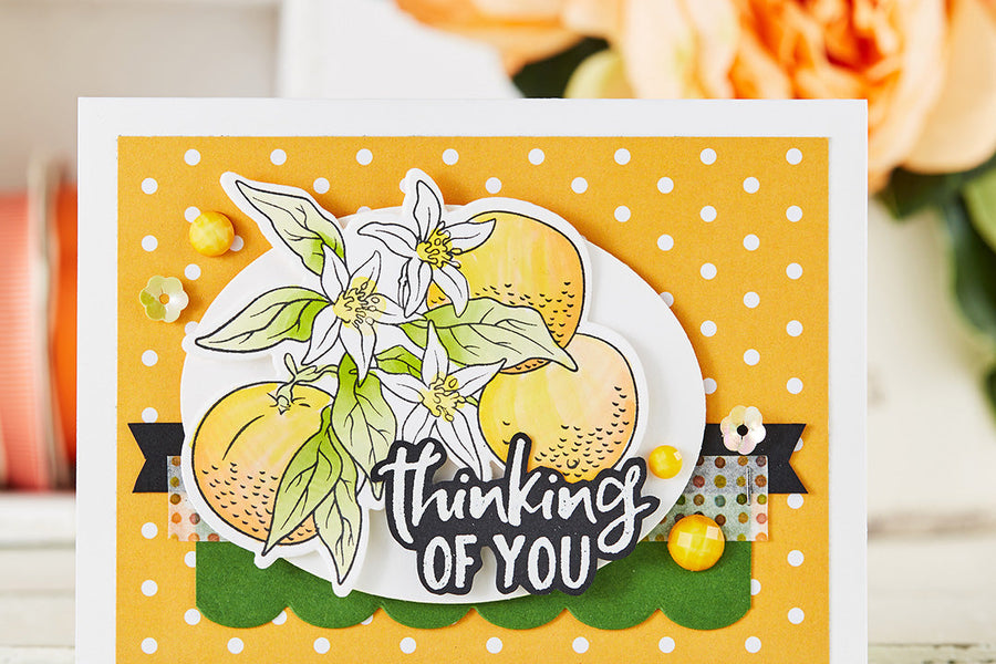 February 2019 Stamp of the Month is Here – Orange Blossoms