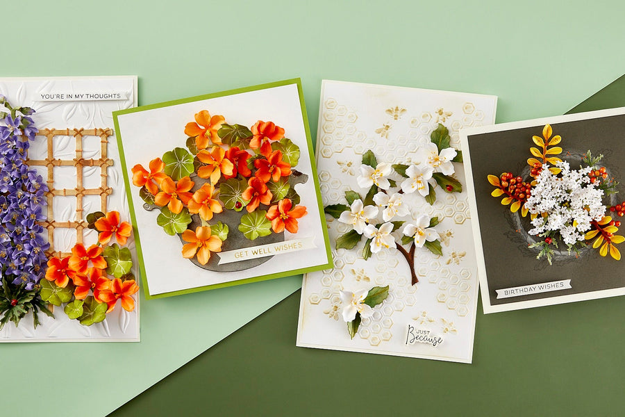 Through the Arbor Collection Introduction with Susan Tierney-Cockburn