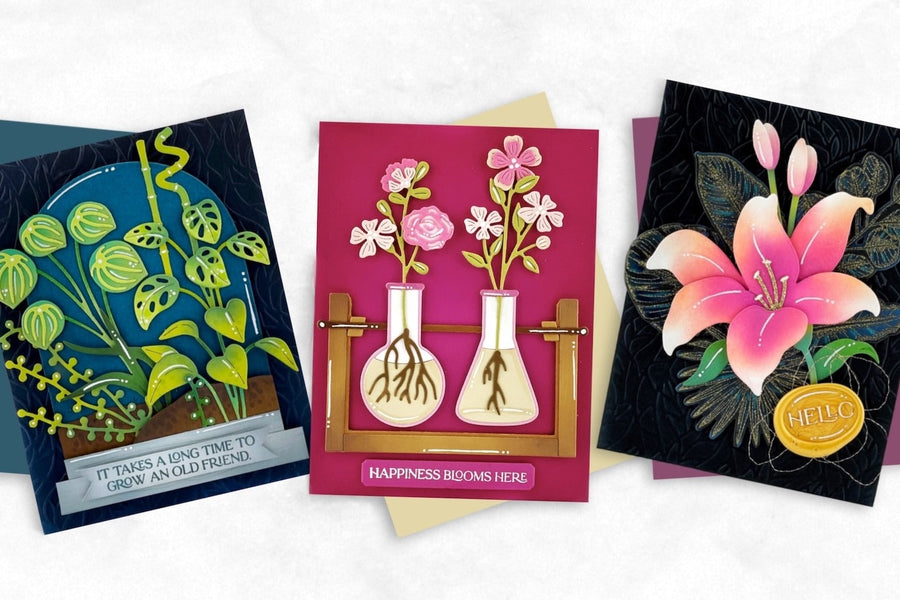 Get More Out of Your Propagation Garden Collection