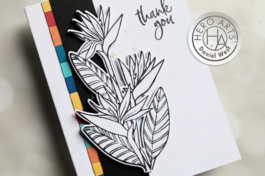 Video: Birds of Paradise No Coloring Card