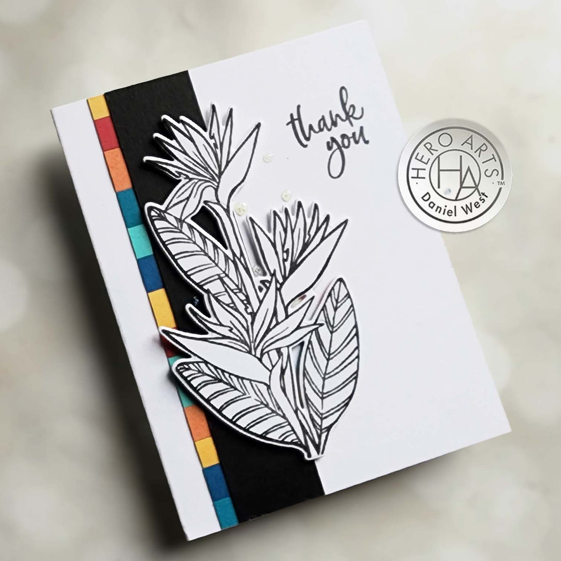Video: Birds of Paradise No Coloring Card