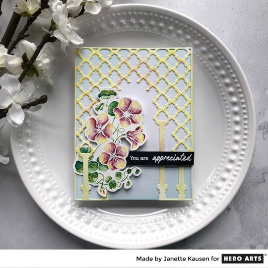 Video: Loosely Watercolored Nasturtium