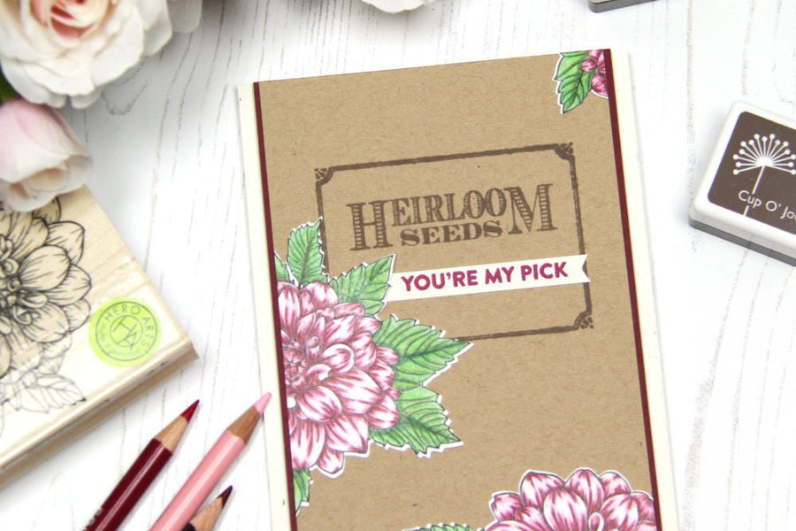 You’re My Pick!