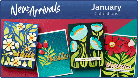 January 2024 New Arrivals