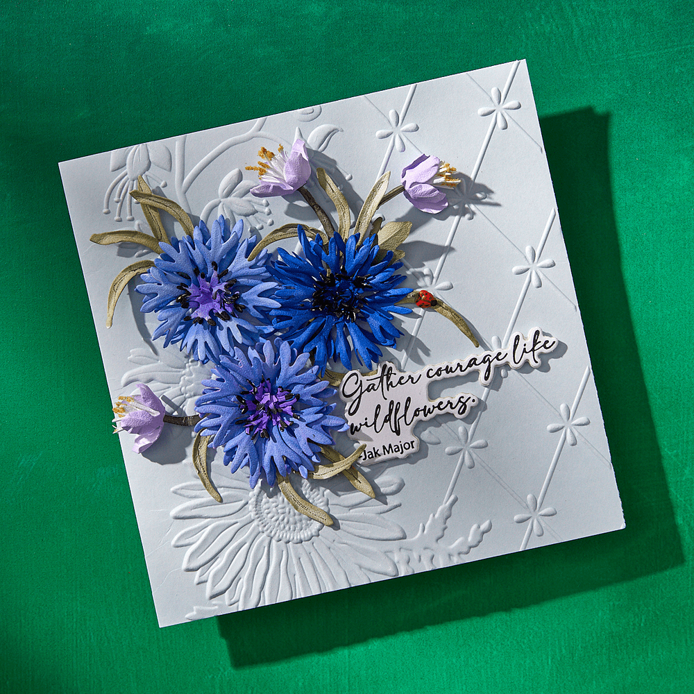 Wildly Beautiful 3D Embossing Folder by Susan Tierney-Cockburn