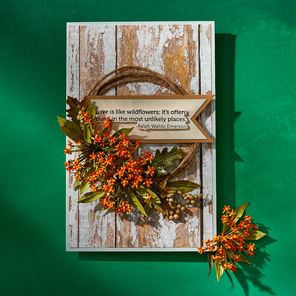 Through the Meadow Die Bundle by Susan Tierney-Cockburn