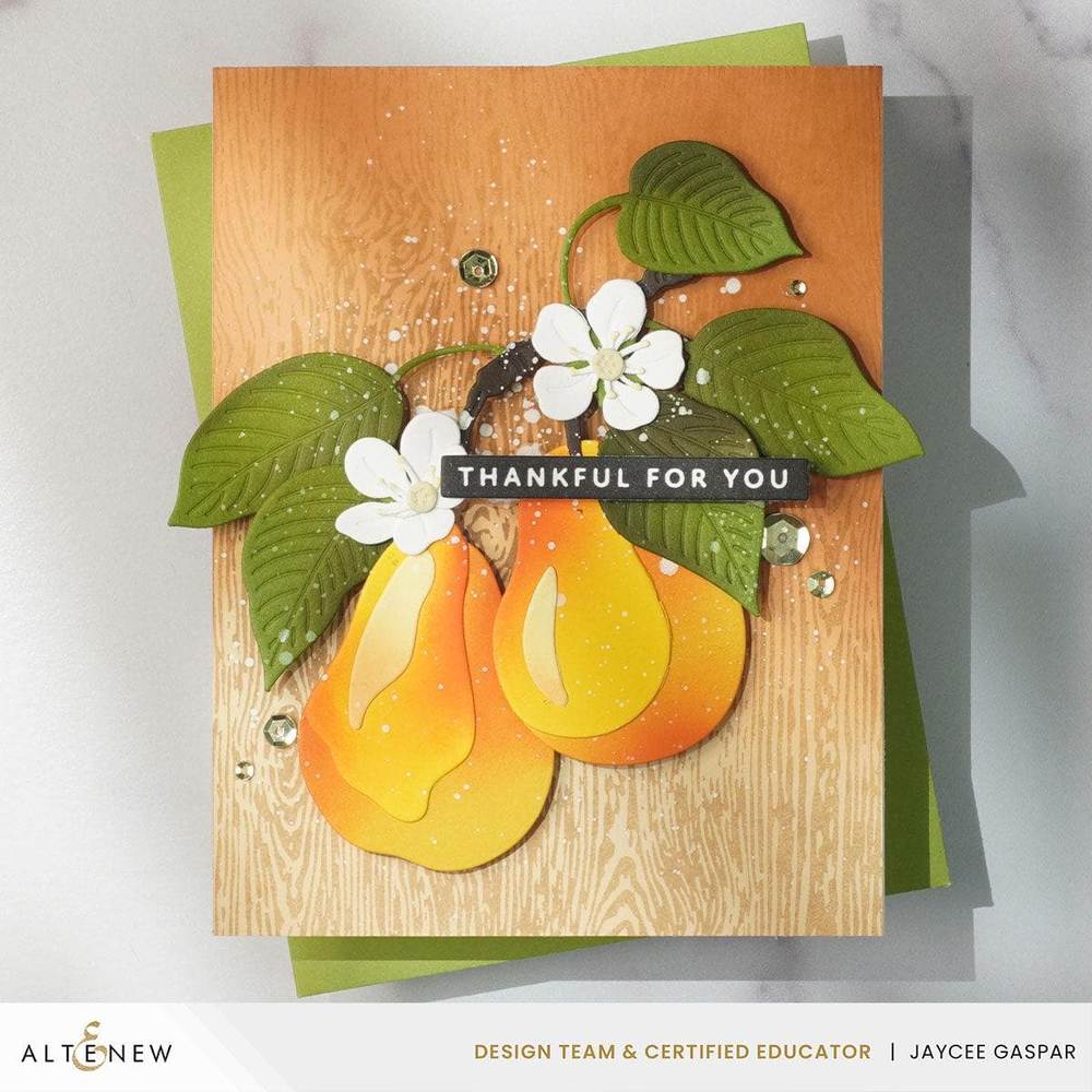 Altenew - One-Go: Solid Sentiment Strips 3 Press Plate (Gratitude Edition)