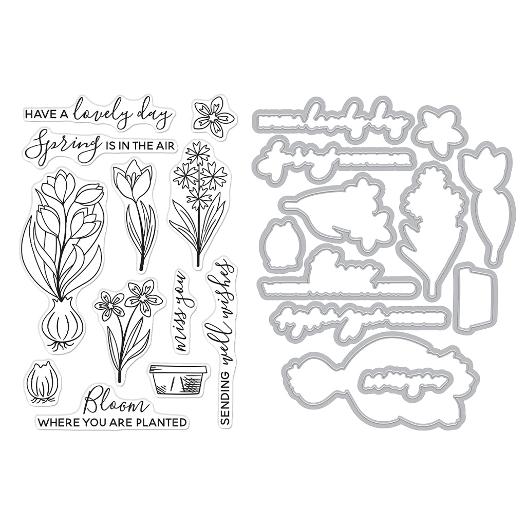 Clear Stamp & Dies of the Month