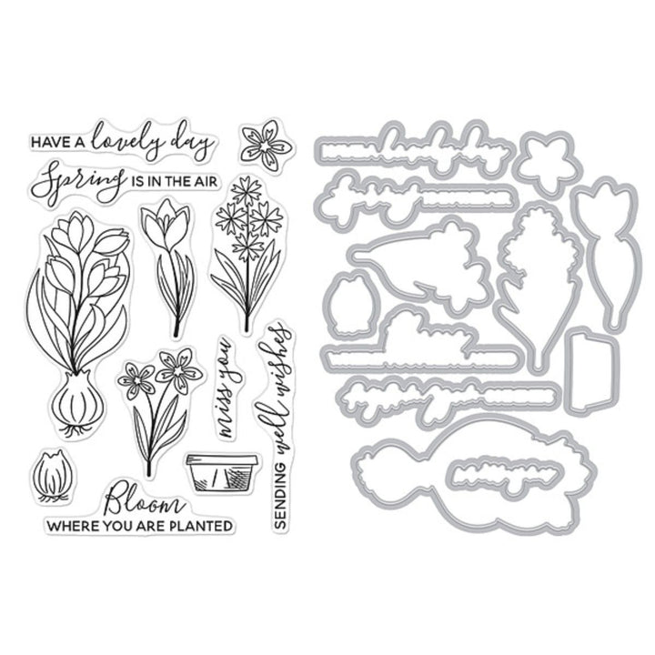 Spring Blooms - February 2025 Clear Stamp Set + Dies of the Month