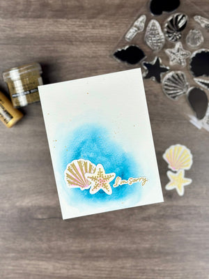 Seashells Stamp & Cut Set of the Month - June 2025
