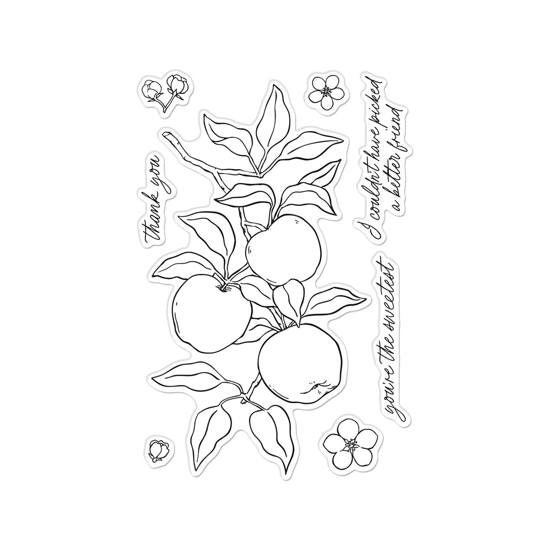 Apple Branch Clear Stamp Set