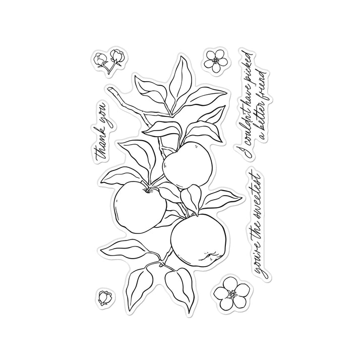 Apple Branch Clear Stamp Set