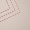 Chiffon ColorWheel Cardstock 8.5