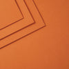 Carrot ColorWheel Cardstock 12