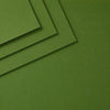 Fern ColorWheel Cardstock 8.5