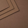 Acorn ColorWheel Cardstock 12