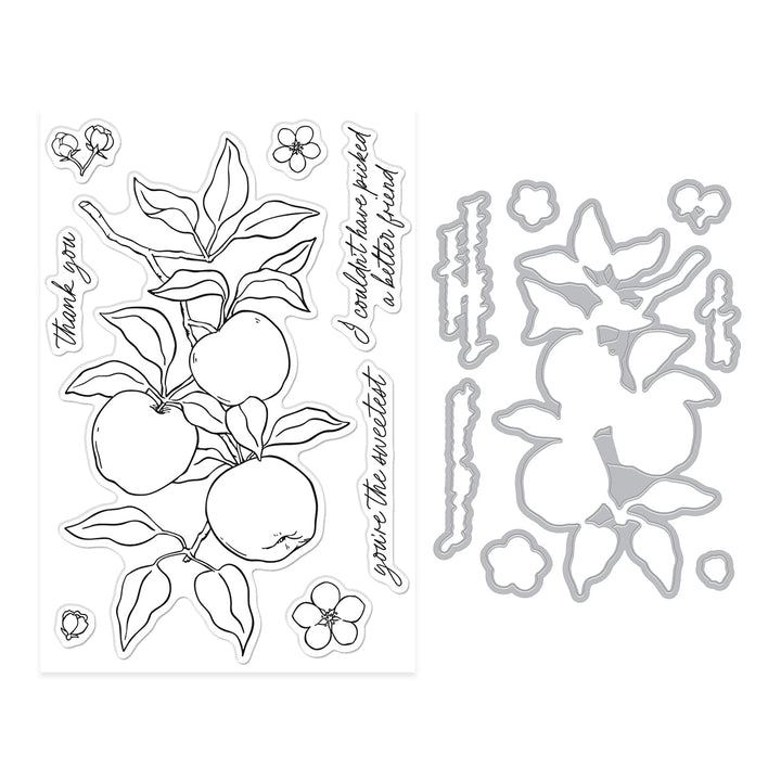 Apple Branch Stamp & Cut Set