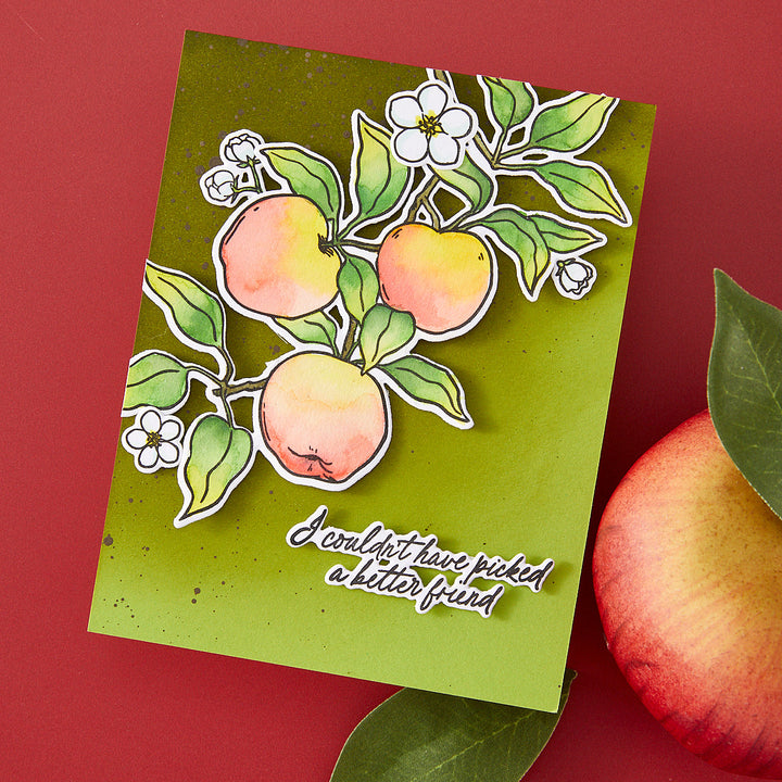 Apple Branch Stamp & Cut Set