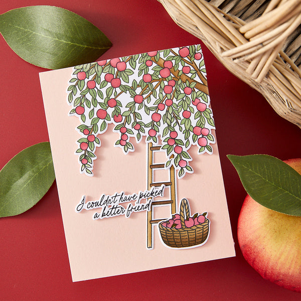 In The Orchard Stamp & Cut Set