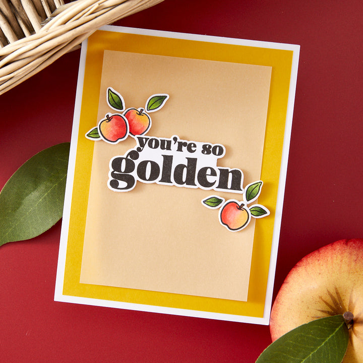 Hero Arts Apple Frame Die & Stencil Bundle