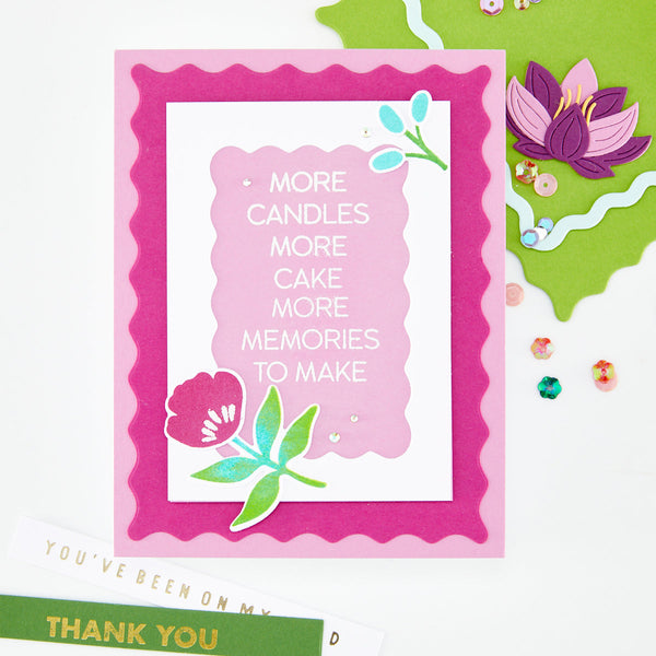 Hero Arts Birthdays Inside & Out Stamp & Cut