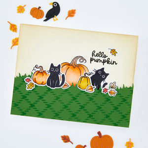 Hide and Peek Stamp Set