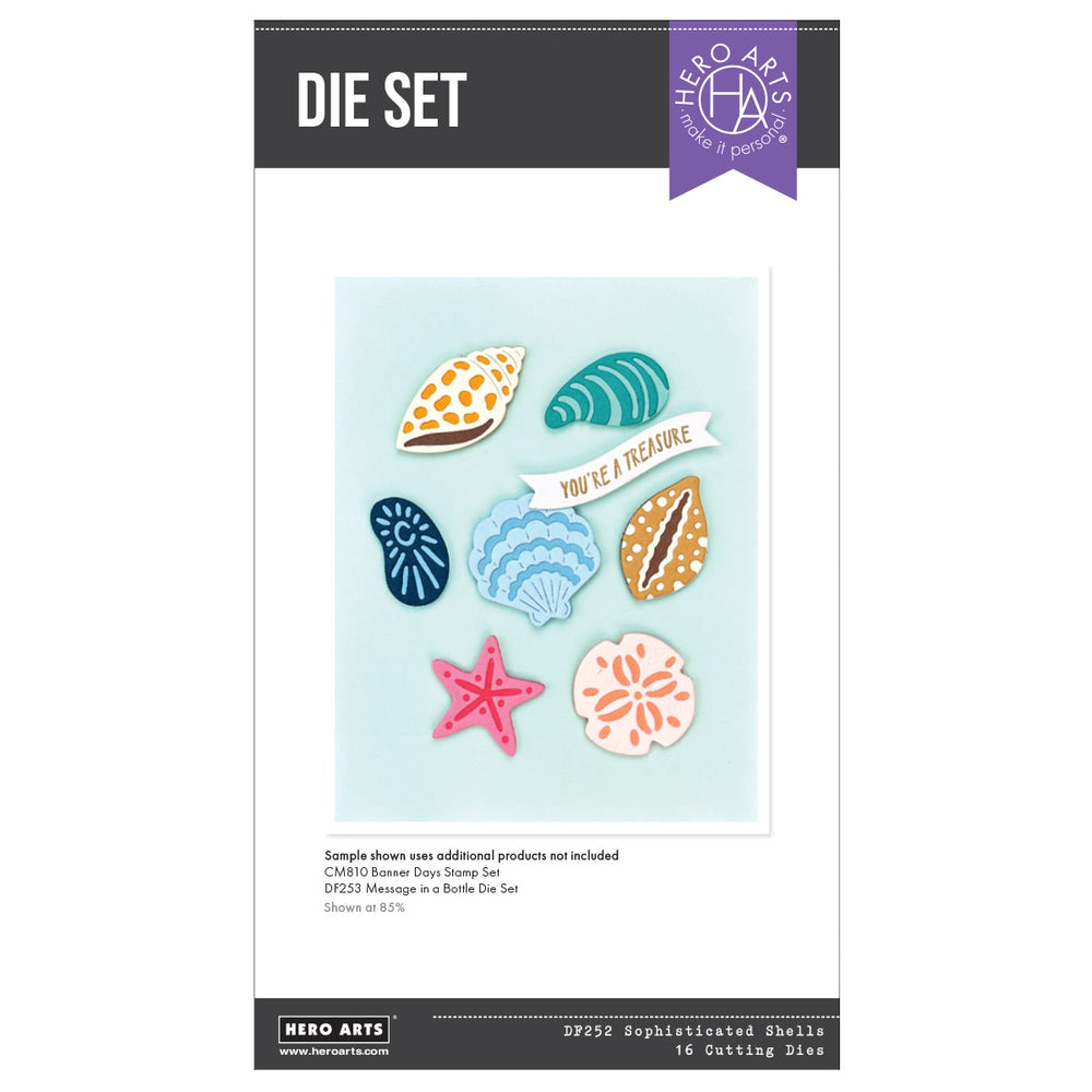 Sophisticated Shells Etched Die Set
