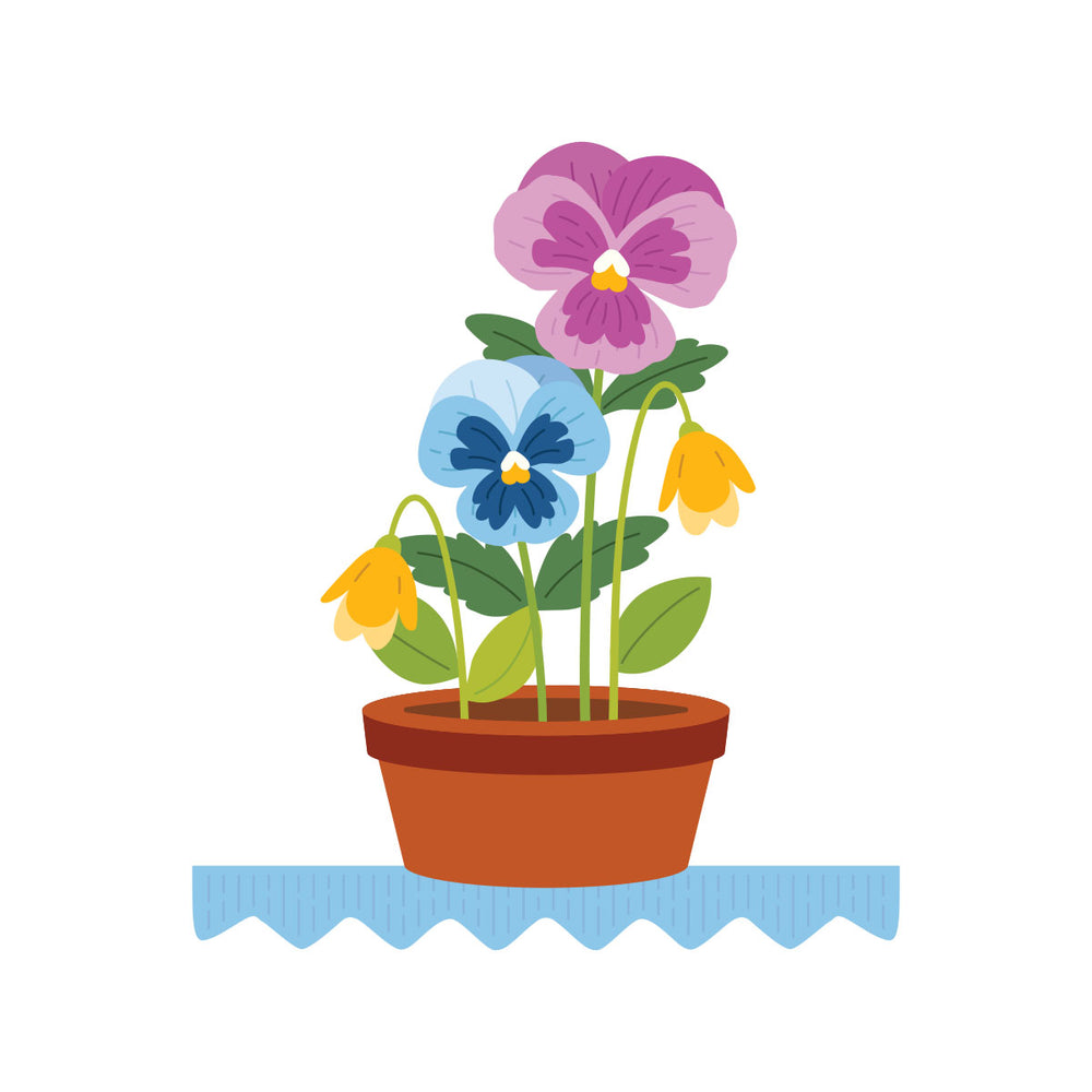 Pansy Seed Co. - Small Die of the Month