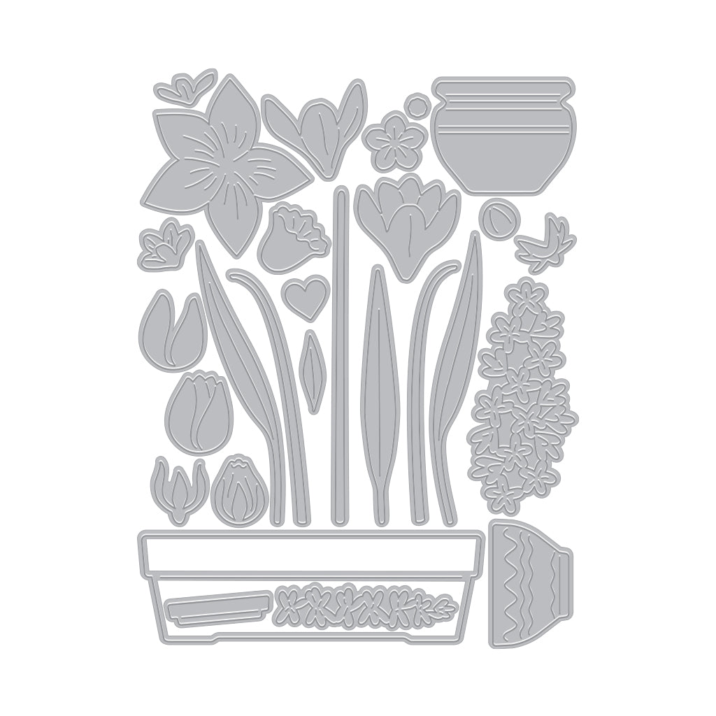 Fancy Dies of the Month Fancy Dies of the Month