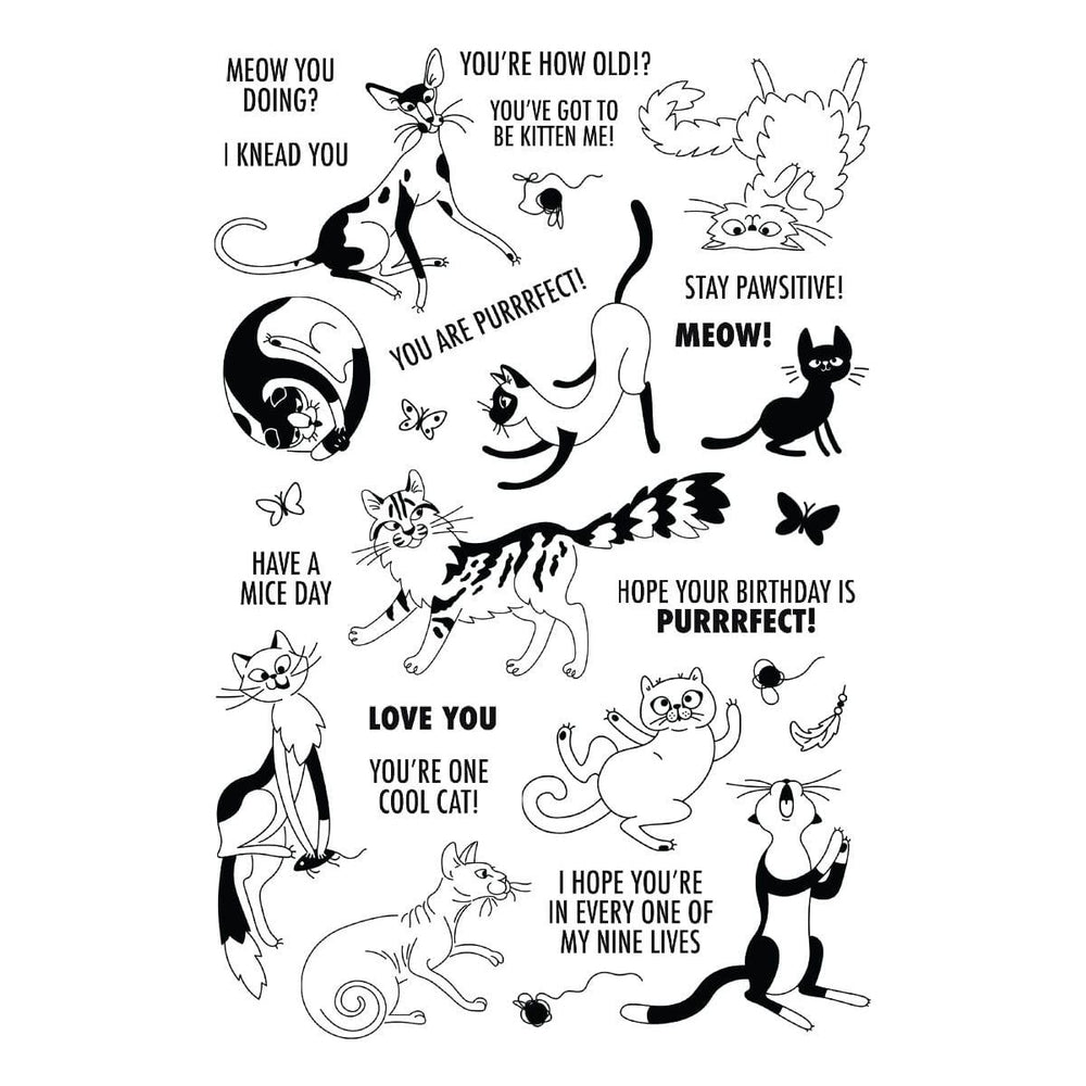 Purrfect Cats Stamp & Die Set by Simon Hurley