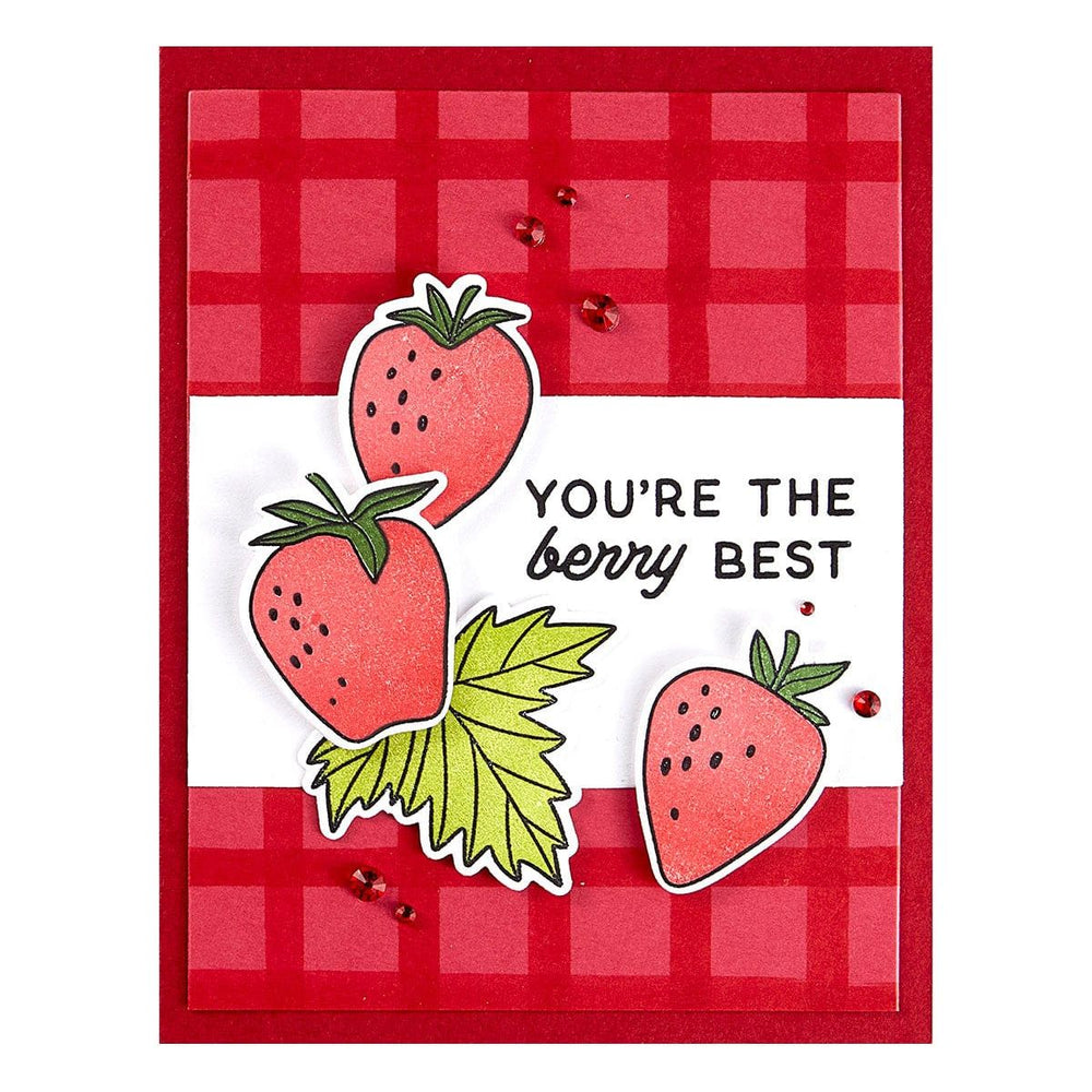 Berry Best Stamp & Die Bundle by Simon Hurley