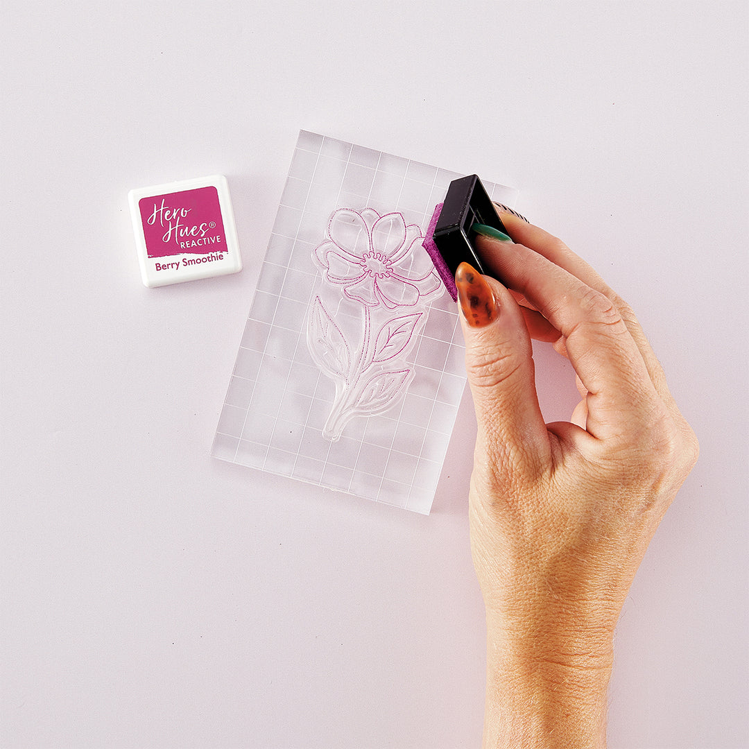 Intro to Stamping Bundle